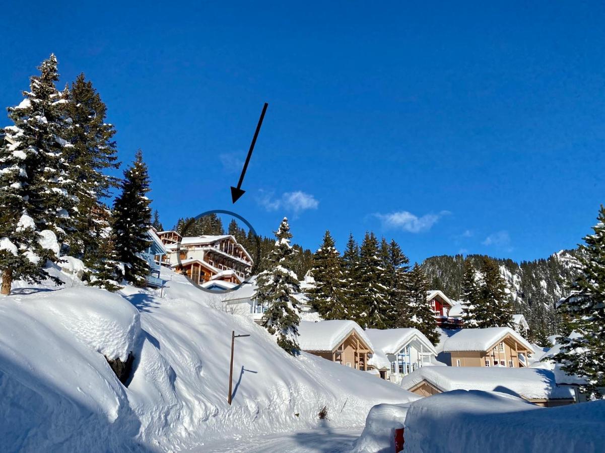 Vue Panoramique Sur Les Montagnes Plein Sud - T2 Skis Aux Pieds, Piscine & Spa 플랜 외부 사진